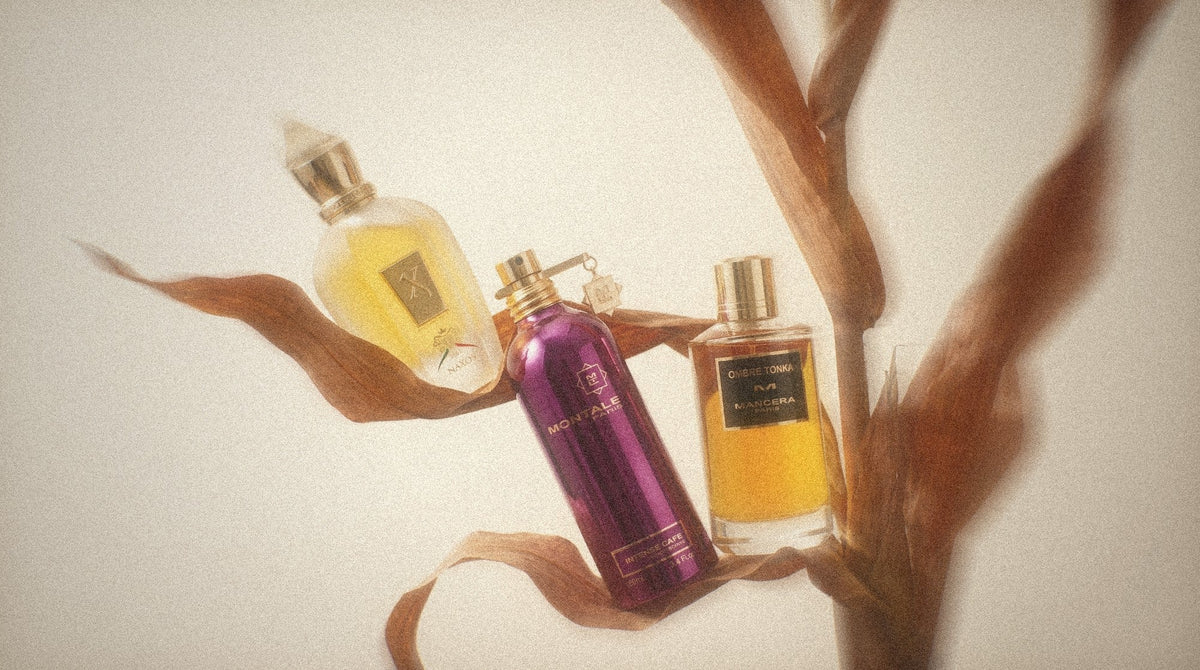 Xerjoff Naxos, Montale Intense Cafe and Mancera Ombre Tonka in dried autumn leaves