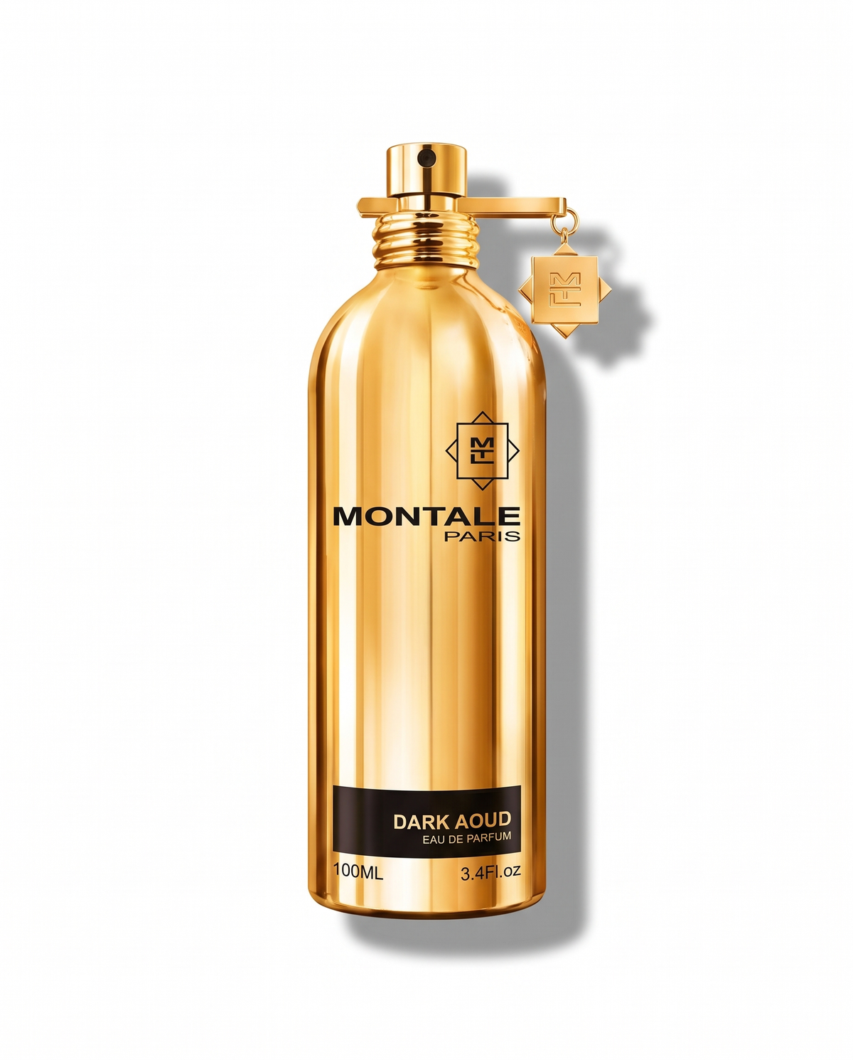 Montale Dark Aoud EDP 100ml bottle