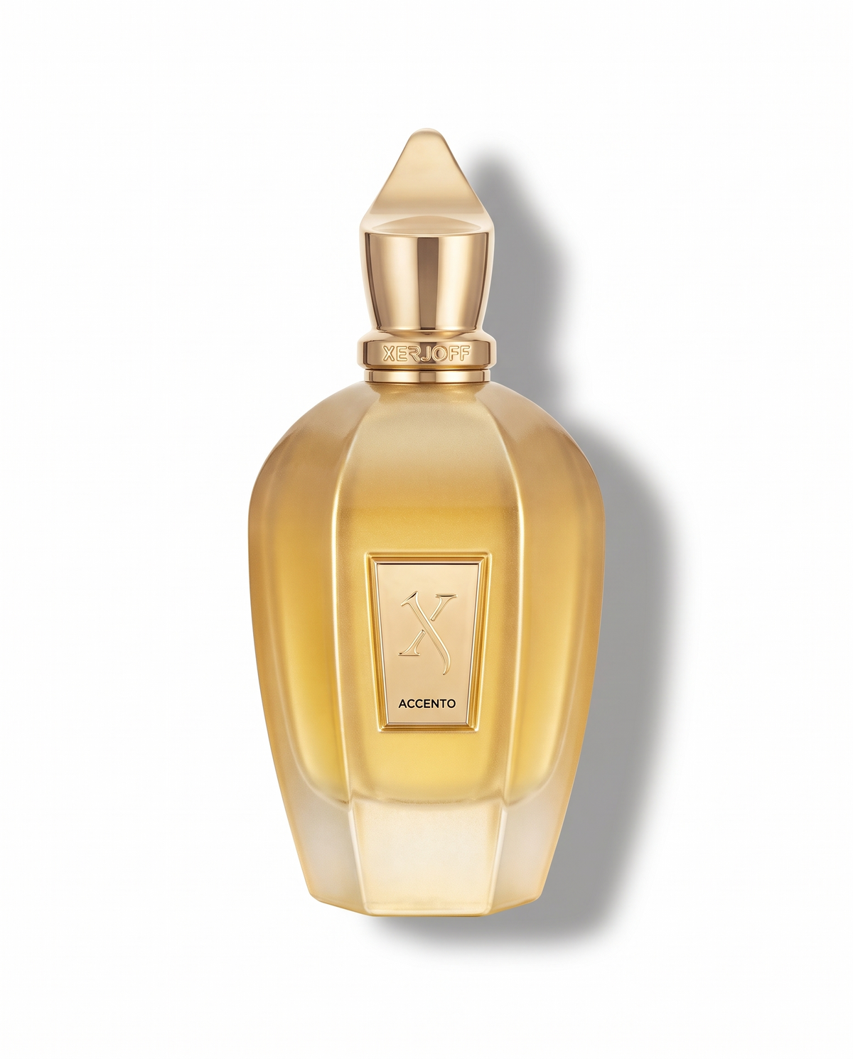 Xerjoff Accento Overdose EDP 100ml bottle