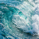 Aquatic Notes